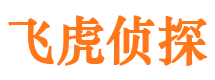 谢家集调查取证